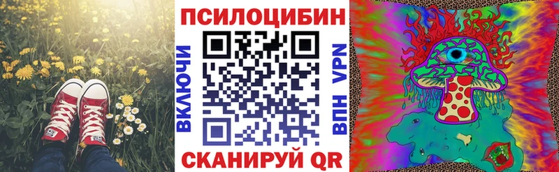 наркотики  Ливны  Галлюциногенные грибы GOLDEN TEACHER 